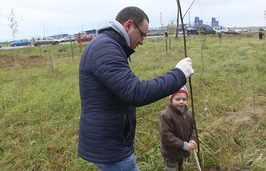 Зелёный барьер от выбросов: в Могилёвском районе высаживали деревья