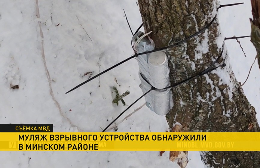 Муляж взрывного устройства обнаружили в Минском районе