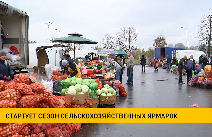 Время покупать: в Беларуси начинается сезон сельскохозяйственных ярмарок