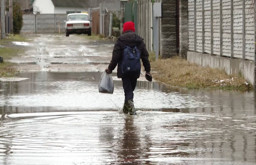 Рекордные паводки на юге Беларуси: как реагируют местные жители и что говорит МЧС?