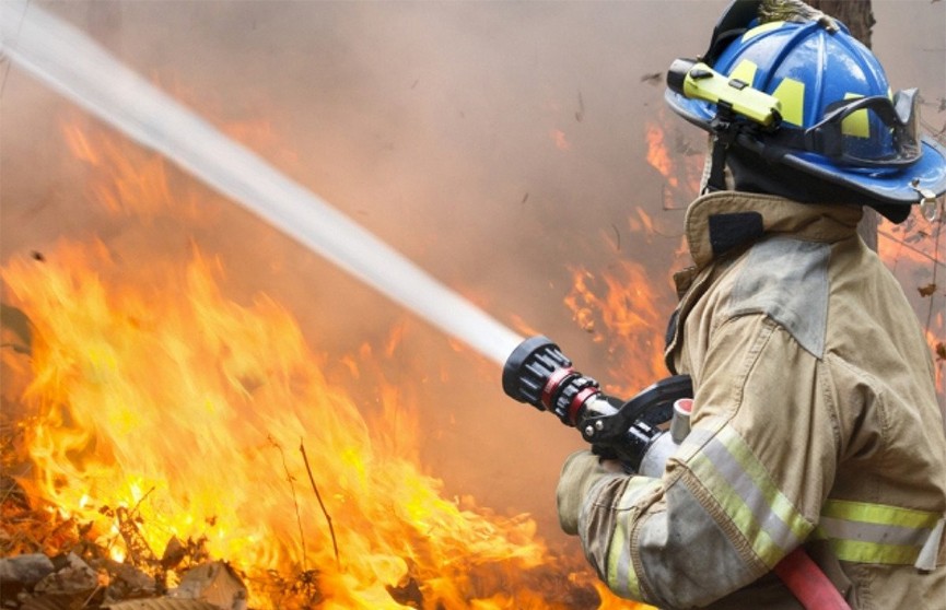 Белорусские пожарные защищают украинскую деревню от огня лесного пожара