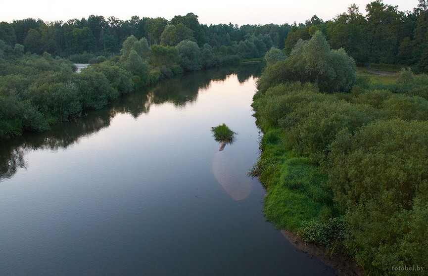 Белстат опубликовал рейтинг 10 самых грязных рек Беларуси