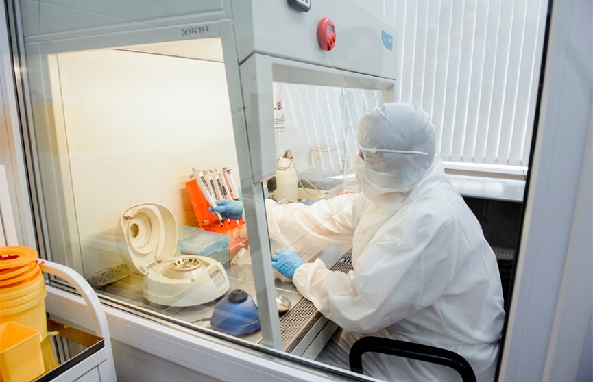 В Беларуси будут делать экспресс-тесты на антитела к COVID-19