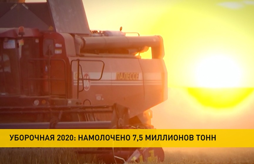 Урожай-2020: 10% площадей зерновых осталось убрать аграриям