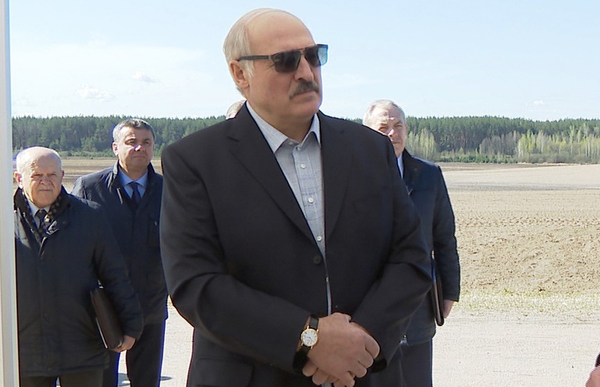 «Лукашенко проявил себя как достойный Президент»: что говорят за рубежом о белорусской политике в условиях пандемии