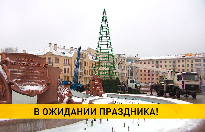 На площади Независимости в Минске начали монтировать новогоднюю ёлку