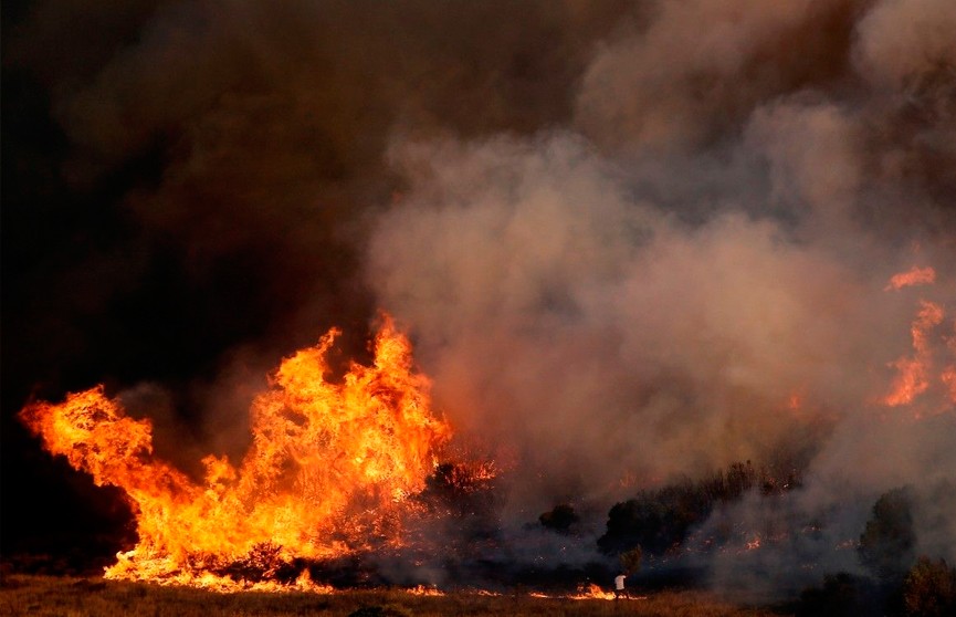 В Греции продолжаются лесные пожары