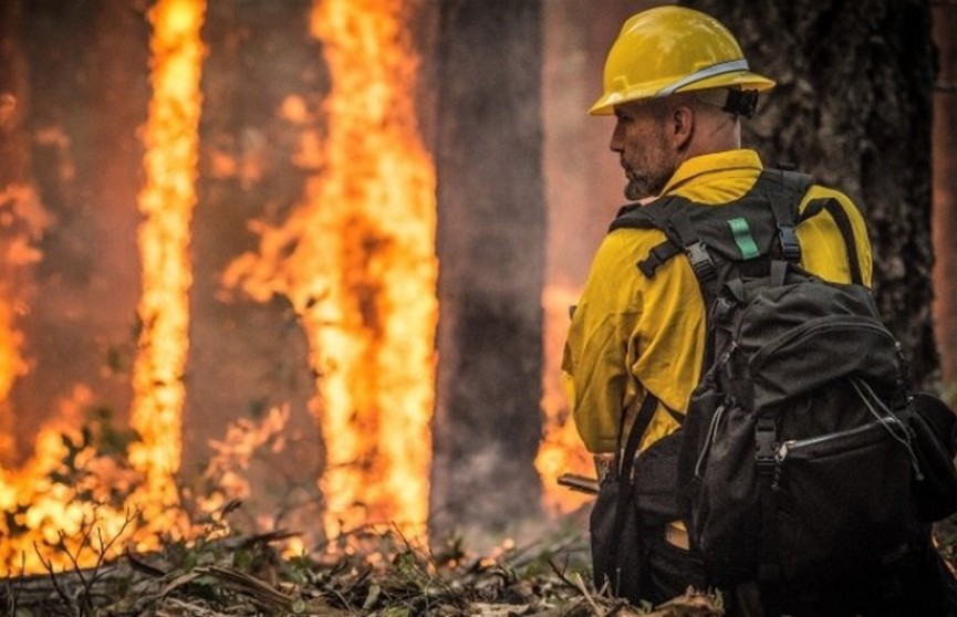 В Канадских лесах уже несколько дней бушует пожар