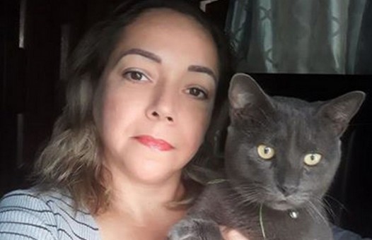 Двойной агент: хозяйка случайно выяснила, что её кот тайно жил на два дома и имел две клички