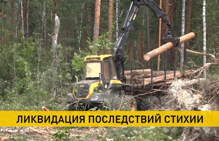 Ураган в Беларуси: от ликвидации последствий к восстановлению