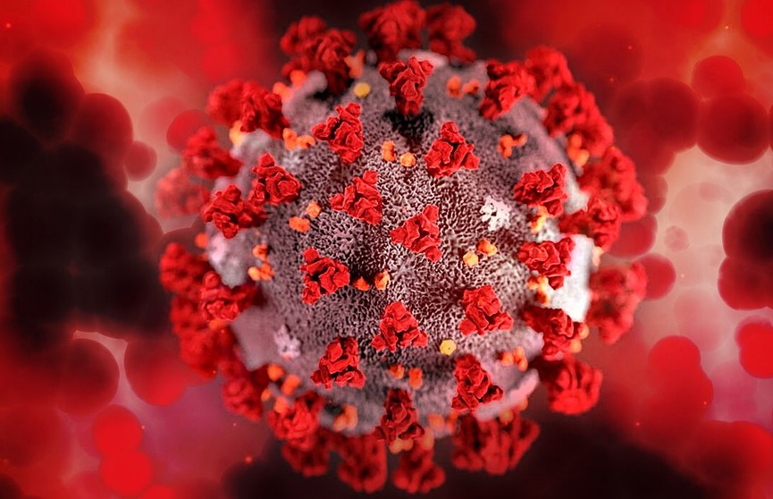 Вирусолог заявил, что «омикрон»-штамм может закончить пандемию