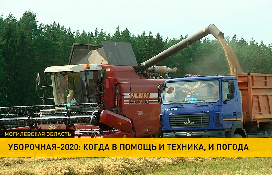 Уборочная кампания 2020. В Витебской области серьезно обновили парк комбайнов