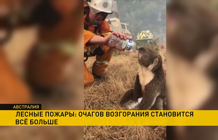 Около Сиднея лесные пожары уничтожили небольшой городок