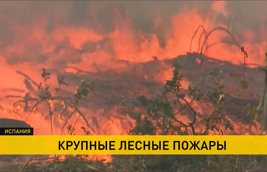 На севере Испании бушуют крупные лесные пожары