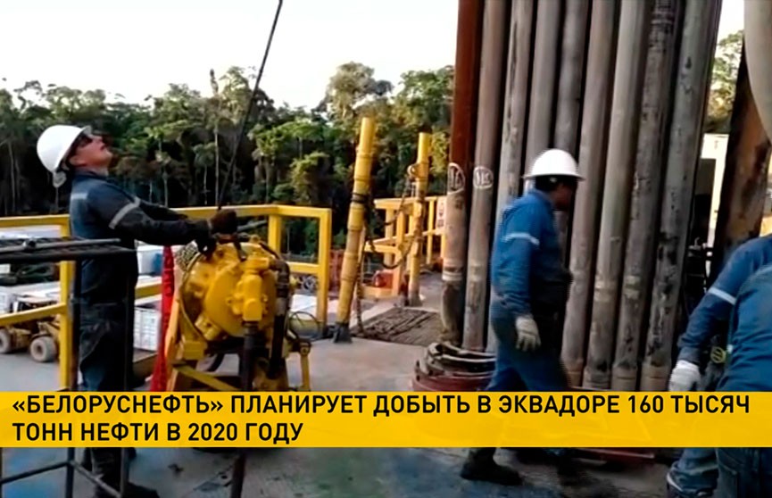 «Белоруснефть» планирует добыть в Эквадоре 160 тысяч тонн нефти в 2020 году