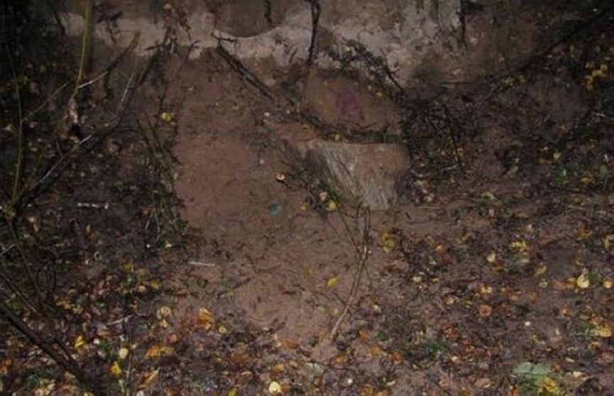 Новые подробности убийства в Лиозненском районе: женщину закопали живьём
