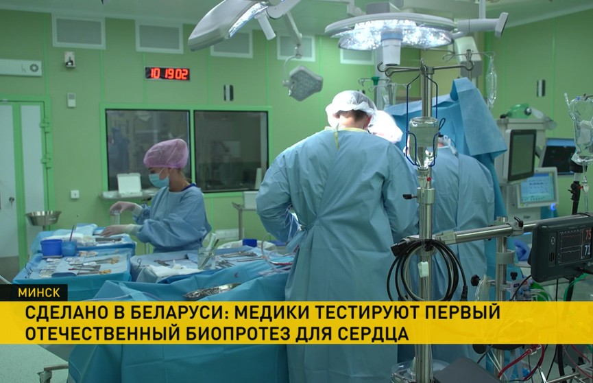 Первый белорусский биопротез для сердца проходит испытания
