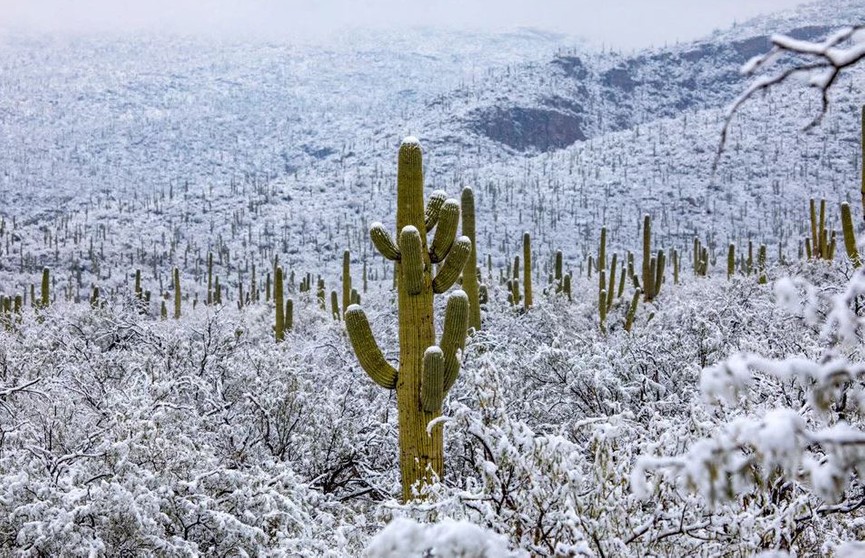 Аномальные холода пришли в Мексику – есть пострадавшие