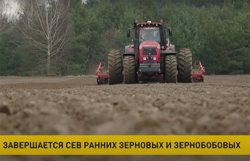 В Беларуси набирает обороты посевная кампания