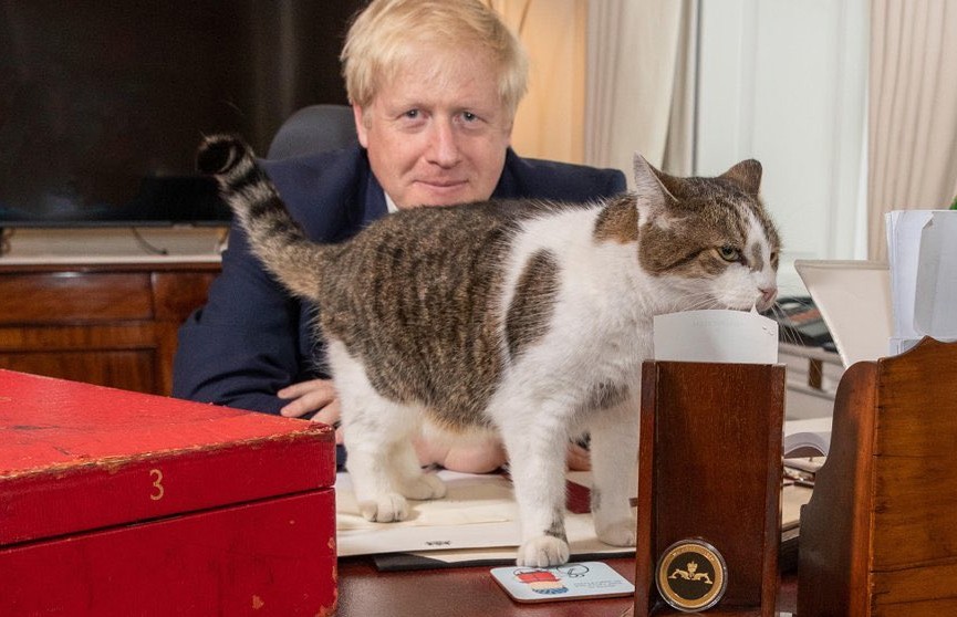 Премьер-министр Великобритании поздравил главного мышелова страны с Международным днем кота