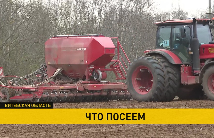 Активные посевные работы проходят в полях по всей Беларуси
