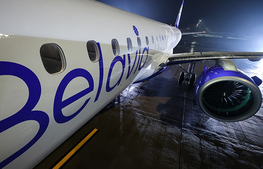 «Белавиа» возобновляет перевозку животных на чартерных рейсах