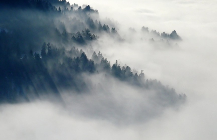 Туман опасен для здоровья? Объясняет врач