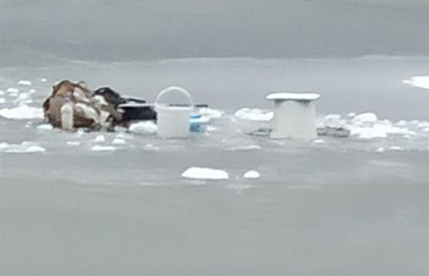 Рыбак провалился под лед в Гродненском районе