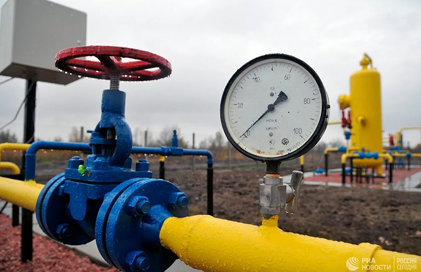Белорусский профессор раскрыл, сколько должен стоить российский газ