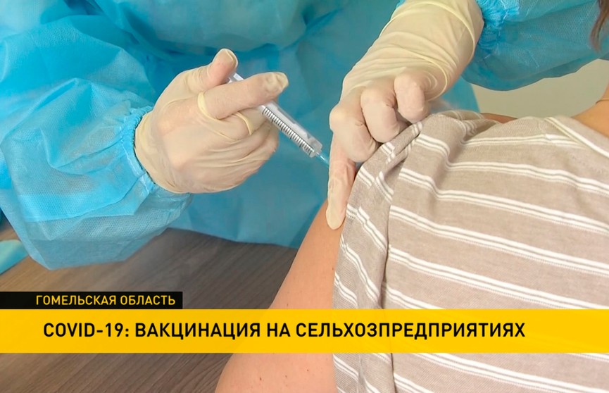 Вакцинация от COVID-19 активно проходит в Гомельской области: получить прививку можно прямо на работе