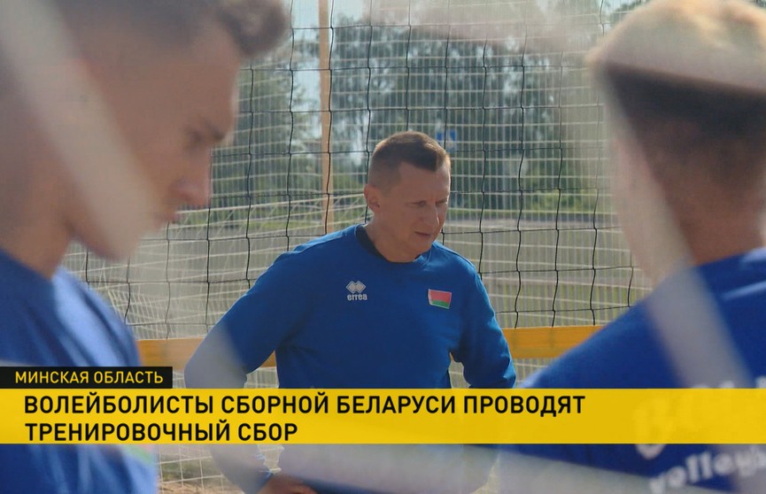 Волейболисты сборной Беларуси проводят тренировочный сбор