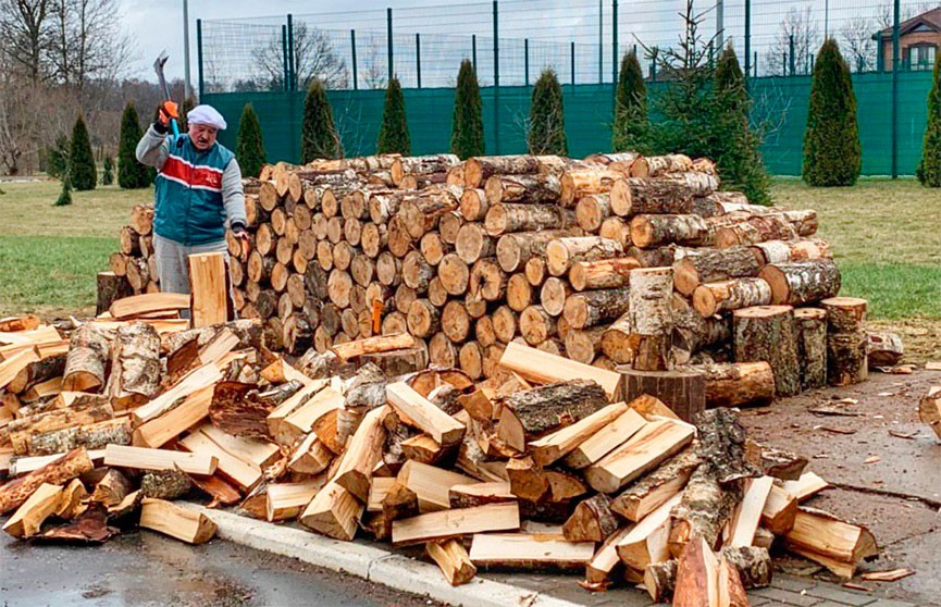 Выходной Президента: Александр Лукашенко рубит дрова на малой родине в Александрии