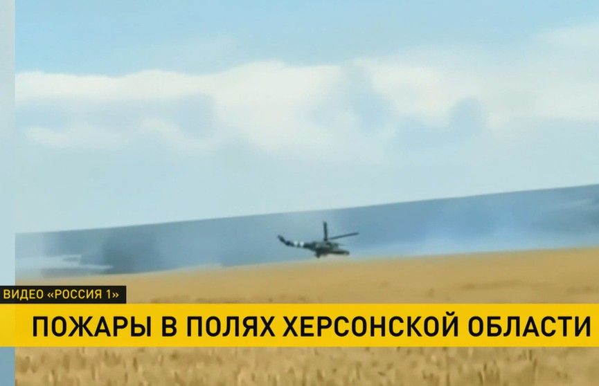 Около 20 тысяч тонн пшеницы сгорело на полях в Запорожской области. В этом обвиняют украинских военных