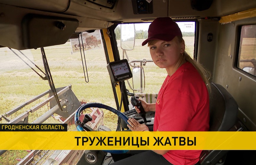 Женские руки не боятся машинного масла! 18-летняя блондинка из Вороновского района управляет комбайном