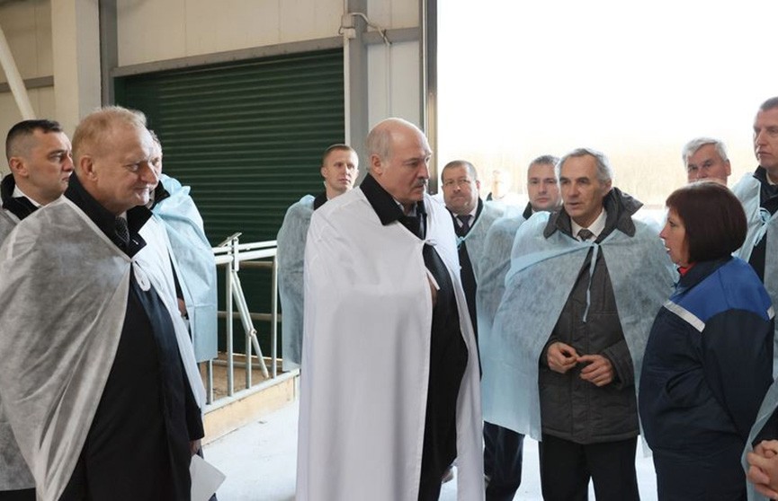 Александр Лукашенко посетил инновационную ферму в Оршанском районе