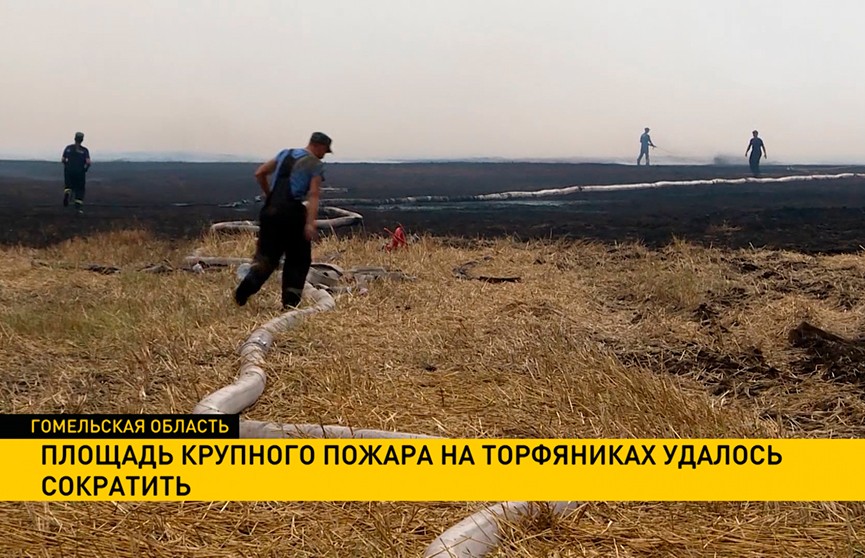 Площадь крупного пожара на торфяниках в Гомельской области удалось сократить