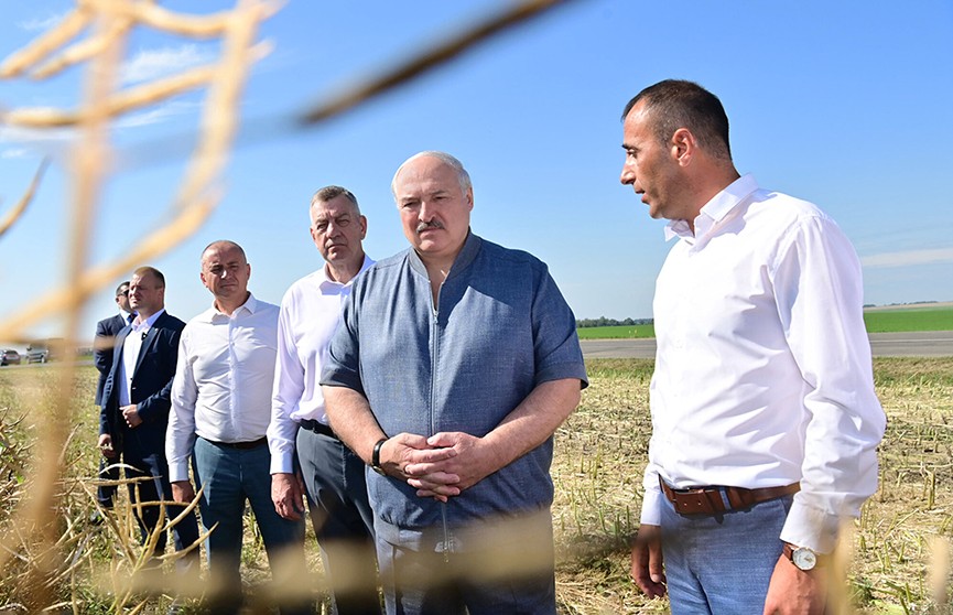А. Лукашенко проинспектировал сельхозпредприятие «Восход» под Минском. Подробности