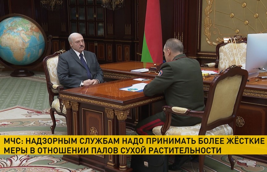 Президент Беларуси и министр МЧС обсудили пожароопасную ситуацию в регионах