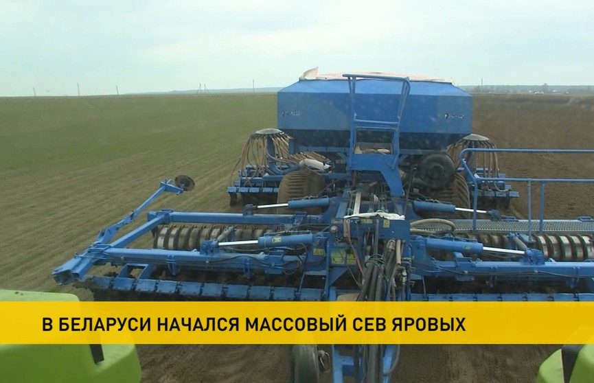 В Беларуси начался массовый сев кукурузы
