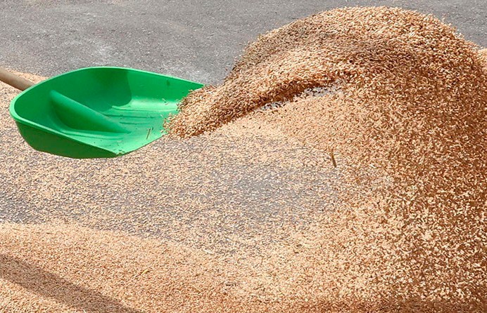 9 тонн закопанного зерна обнаружили в Кобринском районе