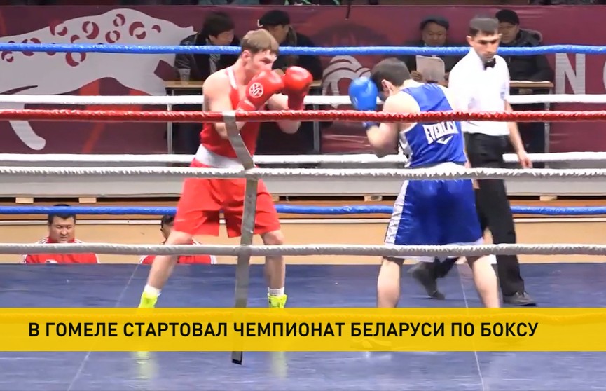 Чемпионат Беларуси по боксу стартовал в Гомеле