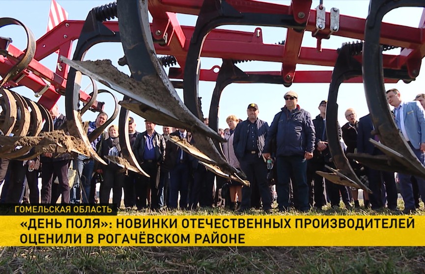 «День поля»: новинки отечественных производителей оценили в Рогачёвском районе