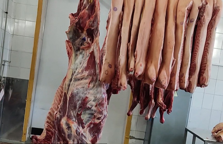 Преступную схему по экспорту мясной продукции раскрыли в Пинске