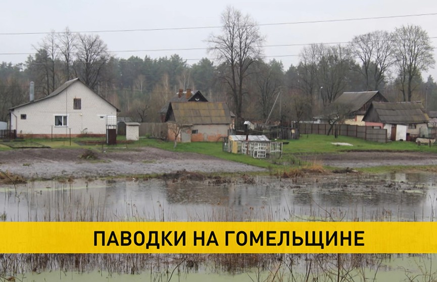 Гомельская область уходит под воду. МЧС предупреждает об ухудшении обстановки