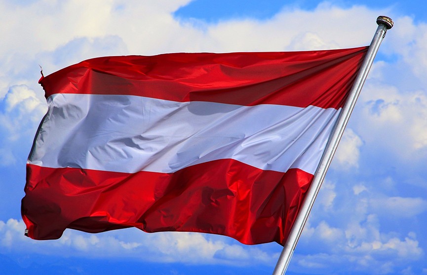 Австрия поддержит усилия Швейцарии по привлечению стран глобального Юга на саммит по Украине