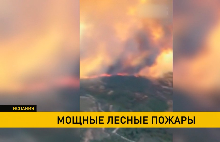 Пожар в Каталонии уничтожил 3500 га леса