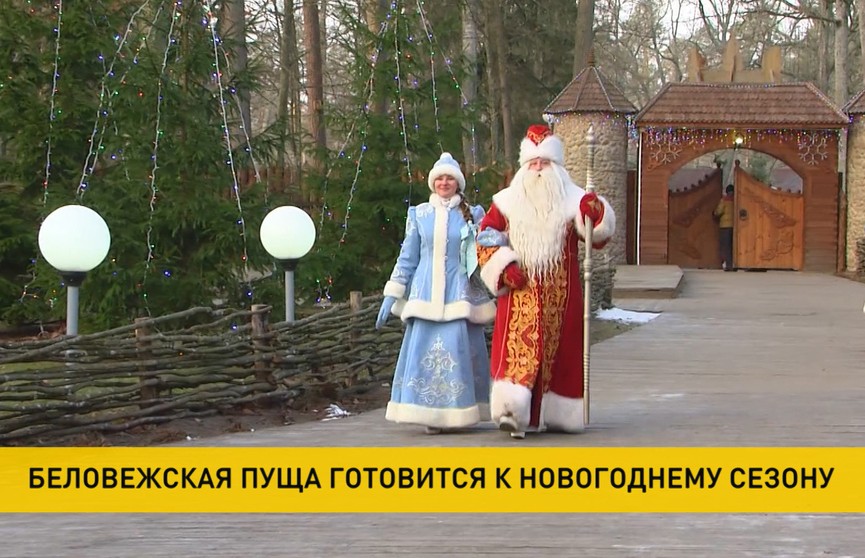 Дед Мороз в Беловежской пуще: как из-за коронавируса изменятся встречи с главным зимним волшебником?