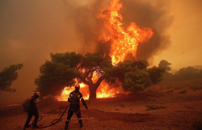 Сильный лесной пожар разбушевался в окрестностях Афин