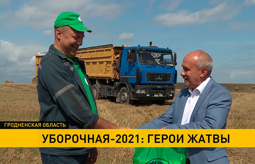 Уборочная-2021: собрано почти 6 млн тонн зерна