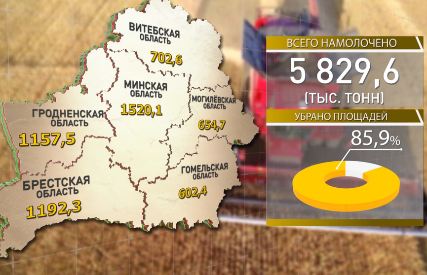 В Беларуси убрано более 85% площадей